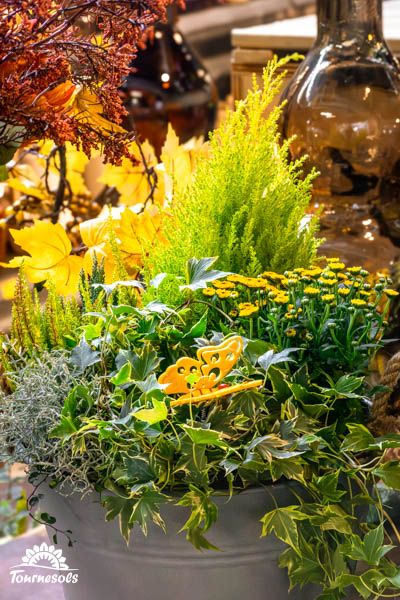 Célébration vibrante avec des nuances festives de jaune et vert, idéalement optimisées pour SEO.